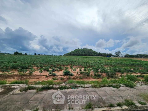 ที่ดินสำหรับปล่อยขาย 62,028 ตารางเมตร แถว ใกล้ เมืองพัทยา (ID 2056503)