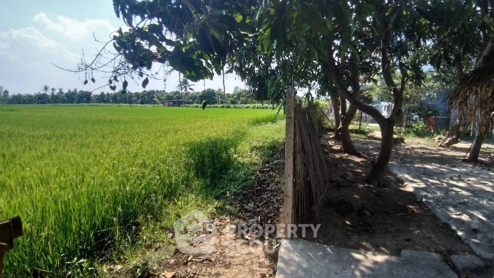 picture 2-BR House in Pa Daet (ID 1302279) - 15/15