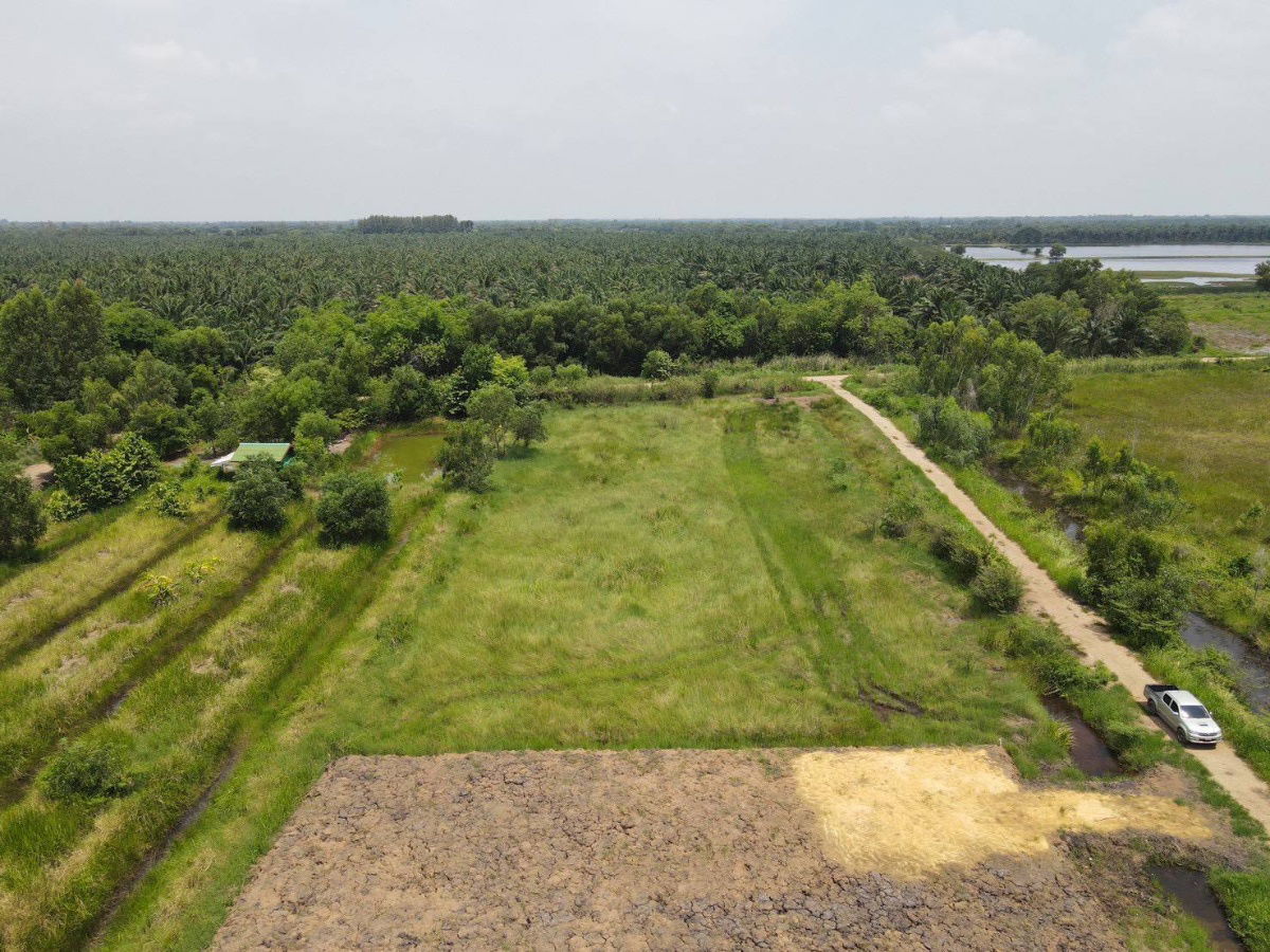 รูป ที่ดินทำเลดีค.13หนองหมูวิหารแดงสระบุรี2-1-71ยกแปลง1790000ใกล้ถนนพหลโยธิน8กมปั้มPT1กมอ.หนองแค8กมรพ.วิหารแดง12กมเข้าออก2ทางฟรีทุกค่าใช้จ่ายจอง30000 - รูปที่ 16/23