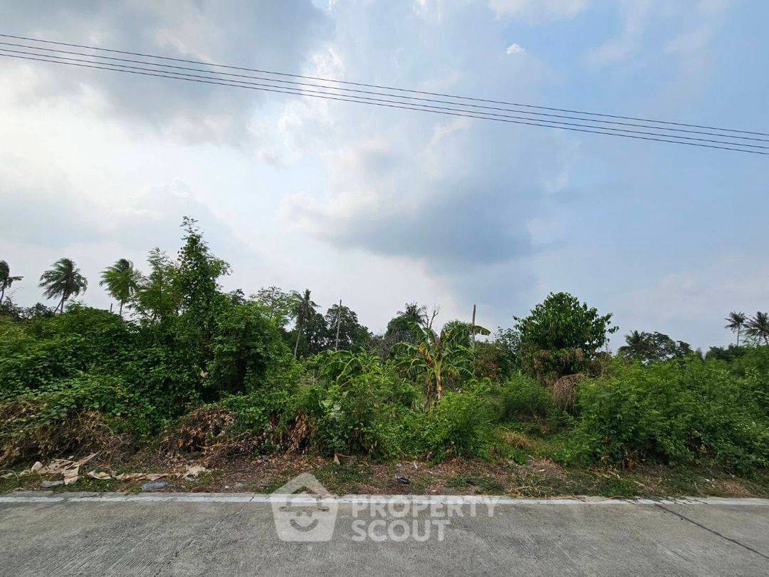 picture 6,668 m² Land for Sale in Bang Khanun (ID 1530175) - 7/9