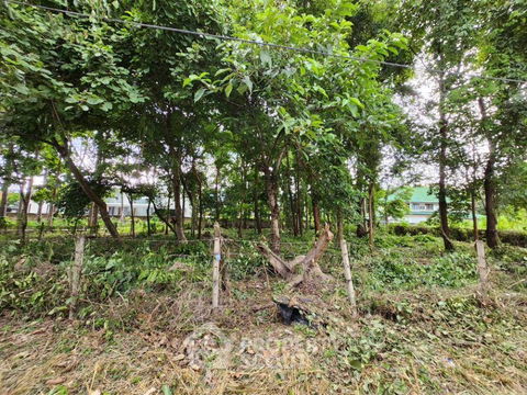 ที่ดินสำหรับปล่อยขาย 1,552 ตารางเมตร แถว ใน ช้างเผือก (ID 1296723)