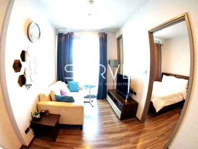 คอนโดให้เช่า : 1 Bed Nice Room High Fl. 10+ Good Location Shuttle bus to BTS Ekkamai / For Rent-Ceil by Sansiri