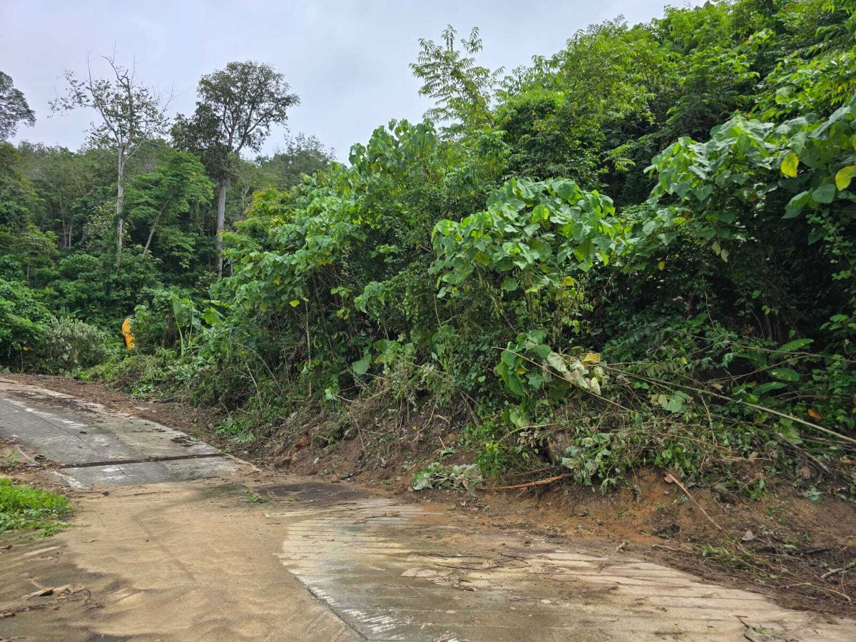 รูป ที่ดินวิวทะเล 2 ไร่ กะหลิม–กมลา เหมาะสำหรับสร้างวิลล่าหรู - 5864469 - รูปที่ 2/6