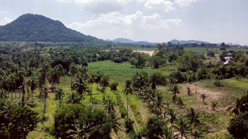 รูป ขายที่ดินราคาถูก ทำเลงาม ใกล้แหล่งท่องเที่ยวเมืองพัทยา สัตหีบ ชลบุรี  - รูปที่ 2/4