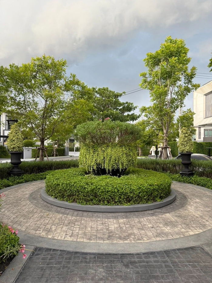 picture FOR RENT !! : Grande Pleno Sukhumvit - Bangna  | 80K. per month |  Land: 161 sq.m | 46.4 sq.wah  3Beds4Baths  Parking: 2 cars  - 19/24