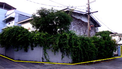 ขายที่ดิน : ขายบ้านเดี่ยว + ที่ดิน 122 ตร.วา ซอยสามเสน 22 พร้อมห้องเช่ารายได้ดี