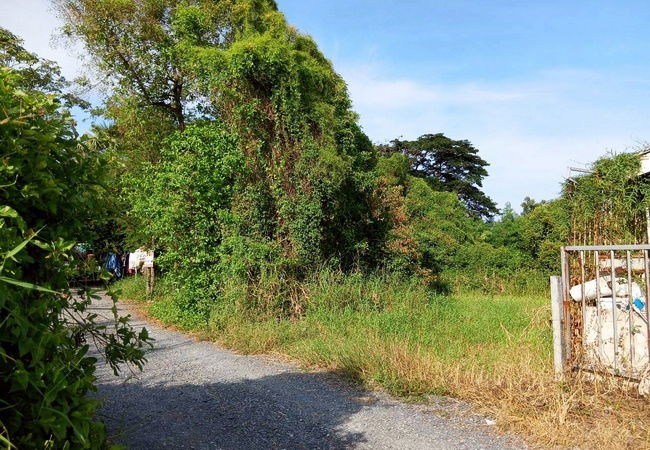 รูป ขายที่ดิน ซอยมิตรไมตรี 14 ถนนมิตรไมตรี แขวงคู้ฝั่งเหนือ เขตหนองจอก กรุงเทพมหานคร - รูปที่ 6/7