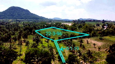 ที่ดิน นาจอมเทียน ชลบุรี : ขายที่ดินราคาถูก ทำเลงาม ใกล้แหล่งท่องเที่ยวเมืองพัทยา สัตหีบ ชลบุรี 