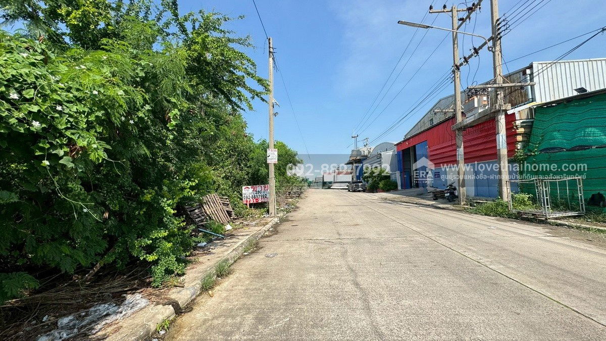 รูป ขายที่ดิน ถนนโคกขาม สมุทรสาคร แปลงสวย พื้นที่ 200 ตรว. ราคาถูก ใกล้อบต.โคกขาม เหมาะลงทุน - รูปที่ 4/10