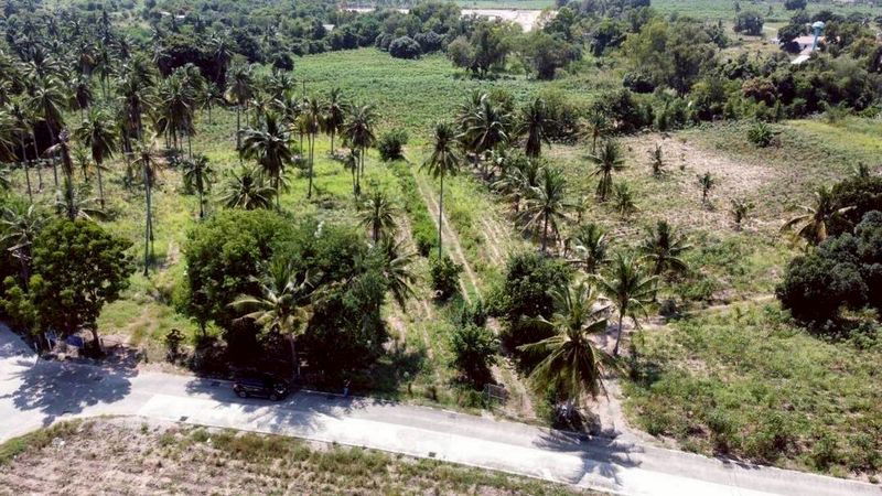 รูป ขายที่ดินราคาถูก ทำเลงาม ใกล้แหล่งท่องเที่ยวเมืองพัทยา สัตหีบ ชลบุรี  - รูปที่ 3/4