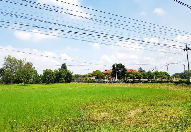 รูป ขายที่ดิน ตำบลคู้ยายหมี อำเภอสนามชัยเขต ฉะเชิงเทรา ติดเทศบาลสนามชัยเขต - รูปที่ 8/8