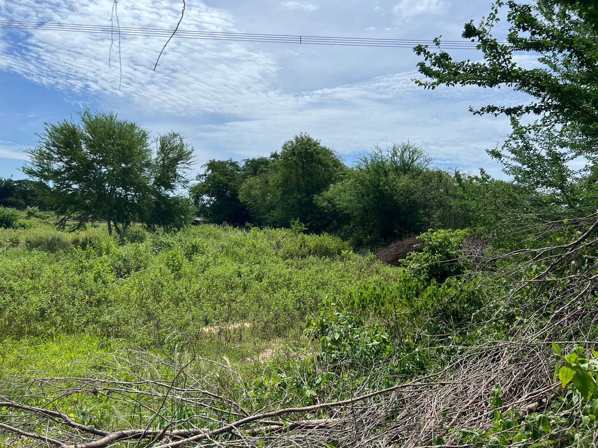 picture Sale! Hua Hin Land 2 Rai 3 Ngan (1,100 sq.wah) | Hin Lek Fai: Buy 1 Rai [Ready to Build] Get 1.75 Rai Expansion Area FREE! Owner Needs Urgent Sale - 10/10