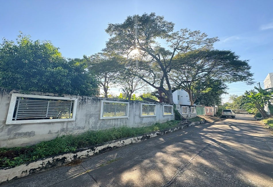 รูป ขายที่ดินแปลงสวย =ซอยแจ้งวัฒนะ 14= เหมาะทำที่พักอาศัย - รูปที่ 1/6