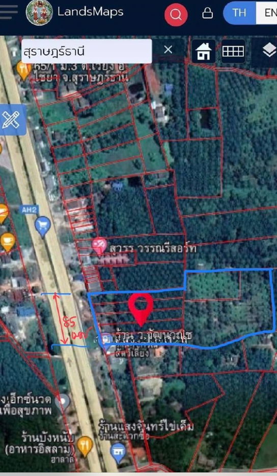 picture Urgent Sale! Prime Land Plot Adjacent to Asia Highway (Highway 41), Chaiya District, Surat Thani Land Size: 14 Rai, 116.5 Sq.wah - 1/2