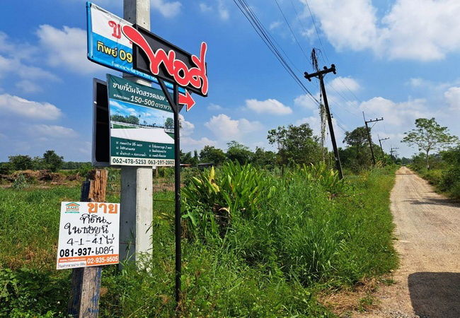 รูป ขายที่ดิน คลอง 13 ฝั่งตะวันตก ถนนรังสิต-นครนายก หนองเสือ ปทุมธานี - รูปที่ 5/5