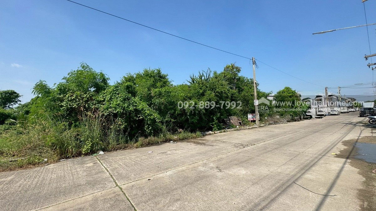 รูป ขายที่ดิน ถนนโคกขาม สมุทรสาคร แปลงสวย พื้นที่ 200 ตรว. ราคาถูก ใกล้อบต.โคกขาม เหมาะลงทุน - รูปที่ 3/10