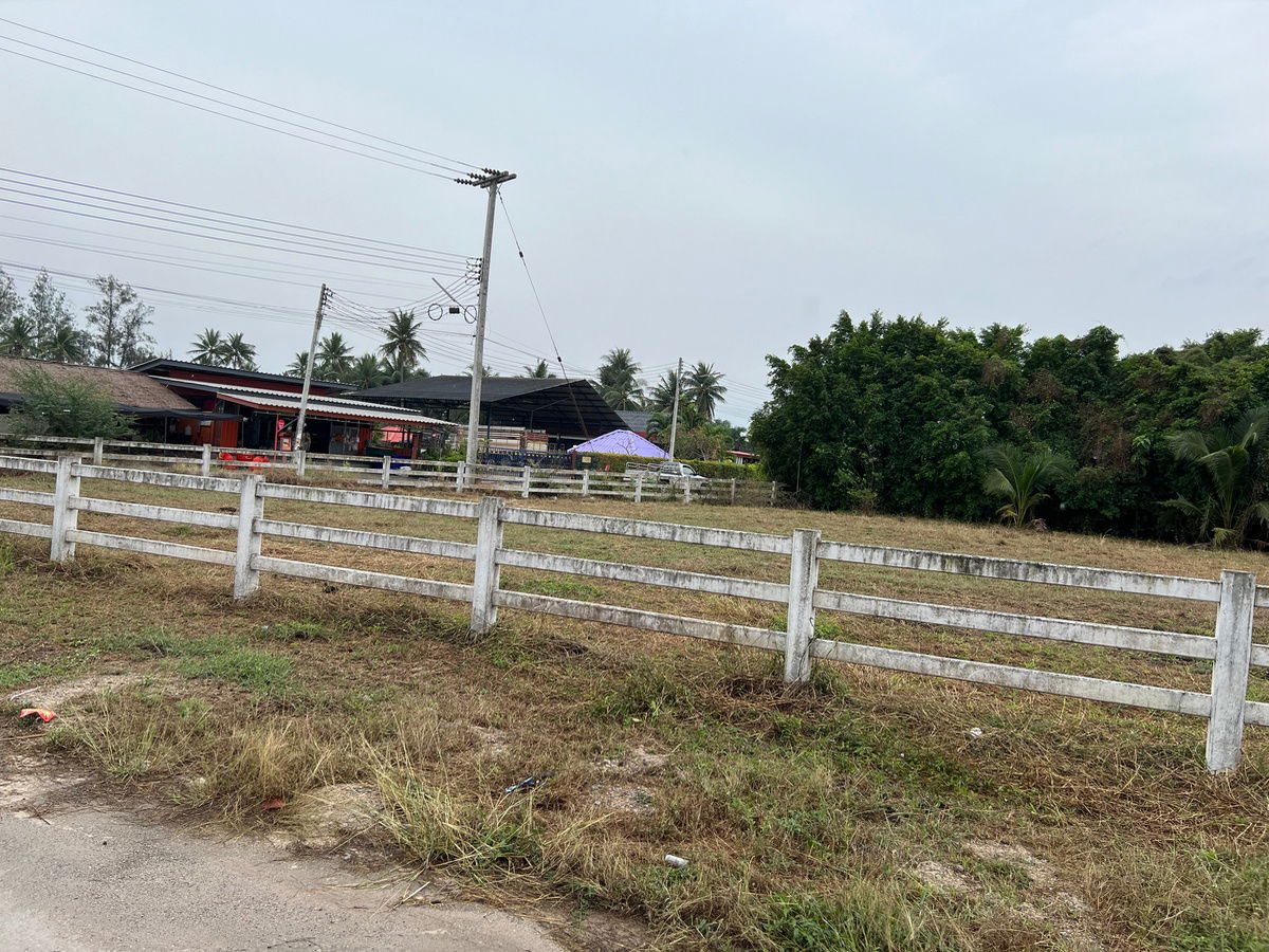 รูป "⚡️ แปลงหัวมุมหายาก! ที่ดิน 340 ตร.ว. ปราณบุรี/หนองตาแต้ม ติดถนนคอนกรีต 2 เส้น วิวภูเขา เห็นแล้วต้องรัก!" - รูปที่ 4/8