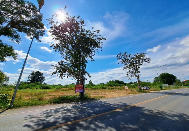 รูป ขายที่ดิน ตำบลคู้ยายหมี อำเภอสนามชัยเขต ฉะเชิงเทรา ตรงข้ามเทศบาลสนามชัยเขต - รูปที่ 3/8