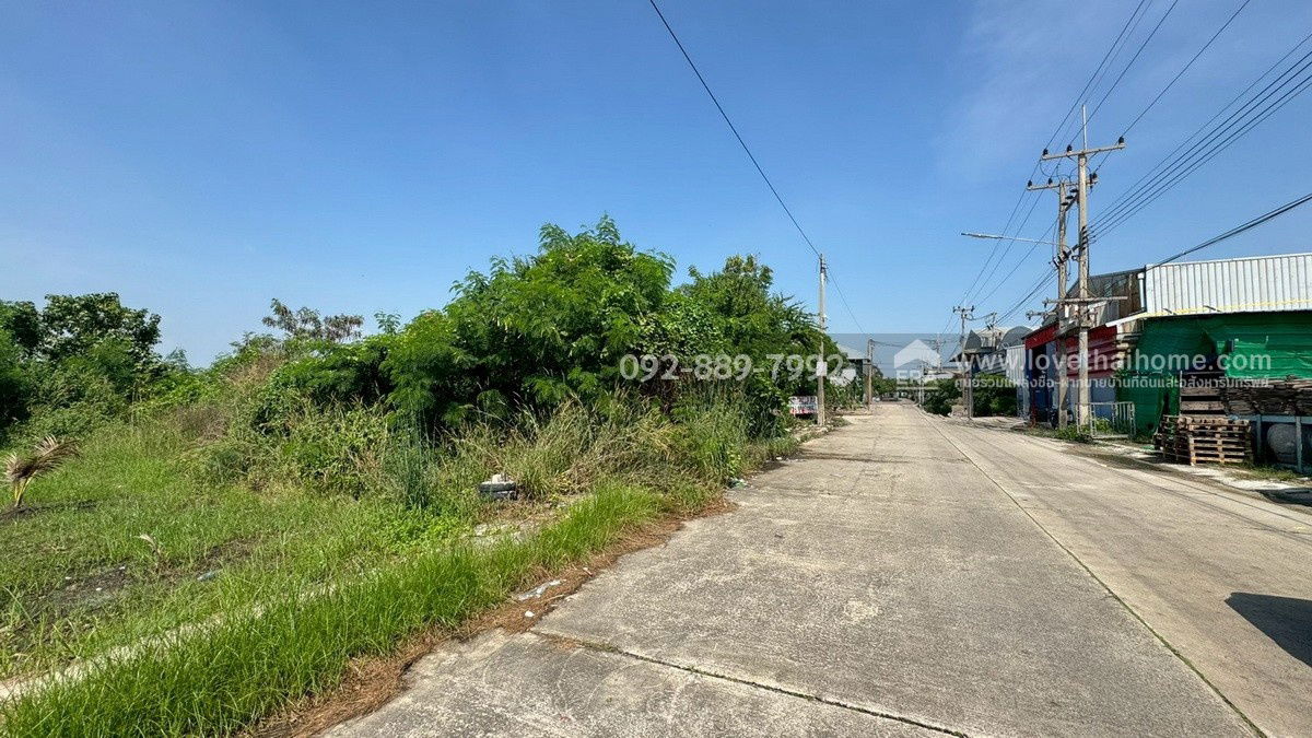 รูป ขายที่ดิน ถนนโคกขาม สมุทรสาคร แปลงสวย พื้นที่ 200 ตรว. ราคาถูก ใกล้อบต.โคกขาม เหมาะลงทุน - รูปที่ 7/10