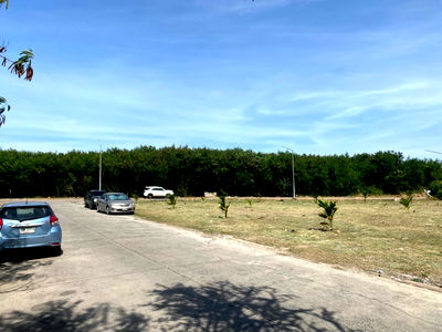 ที่ดิน ตึกคอม ชลบุรี : ขายที่ดิน ใกล้โรงพยาบาลศูนย์มะเร็ง ชลบุรี