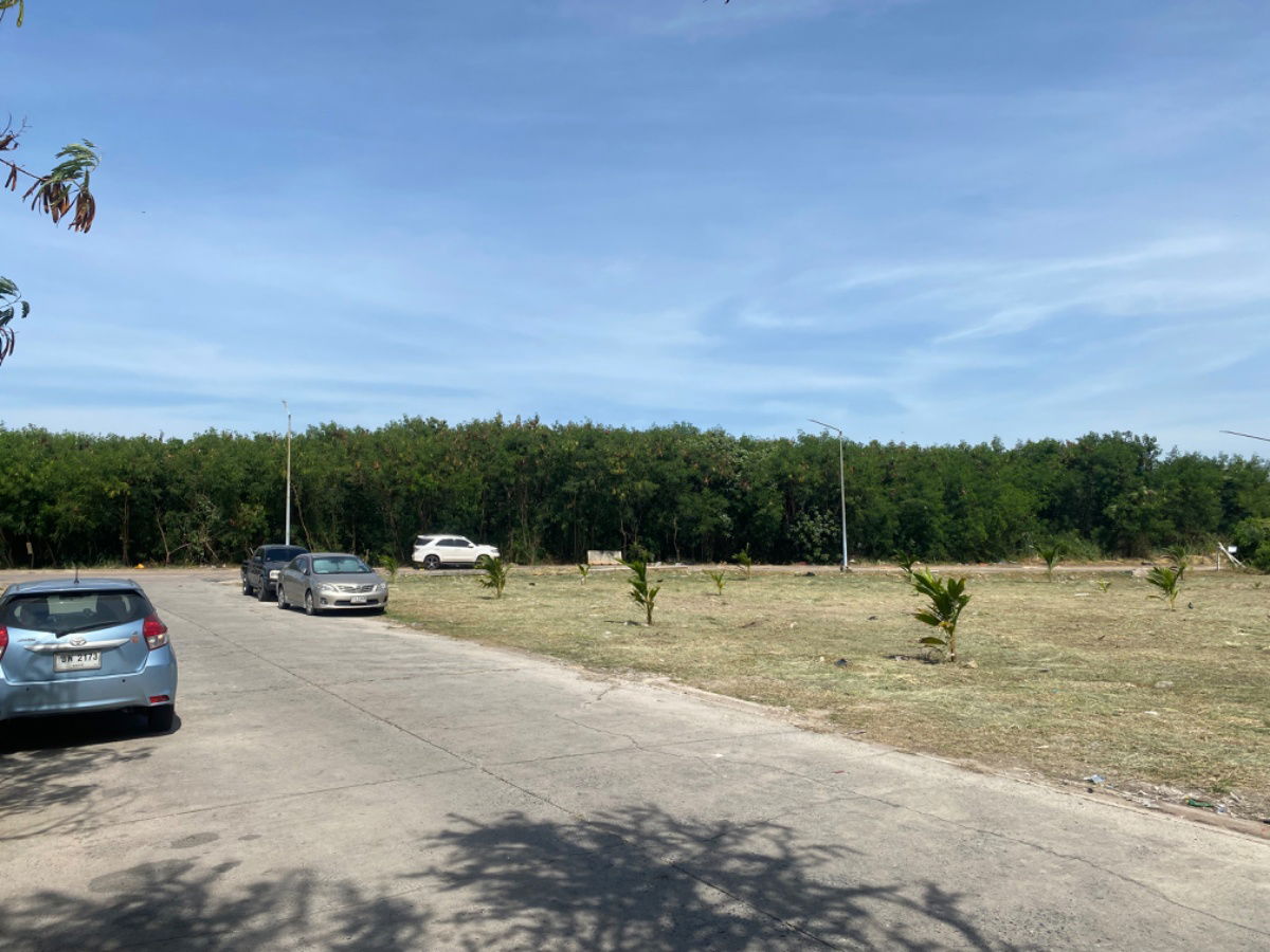 รูป ขายที่ดิน ใกล้โรงพยาบาลศูนย์มะเร็ง ชลบุรี - รูปที่ 1/6