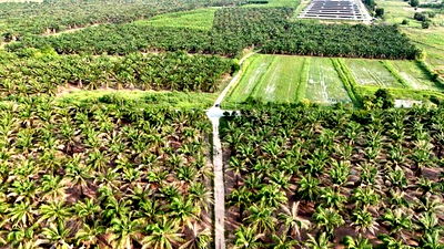 ที่ดิน บ้านบึง ชลบุรี : ขายที่ดินบ้านบึง คลองกิ่ว แปลงสวย ใกล้แหล่งนิคมอุตสาหกรรมมากมาย