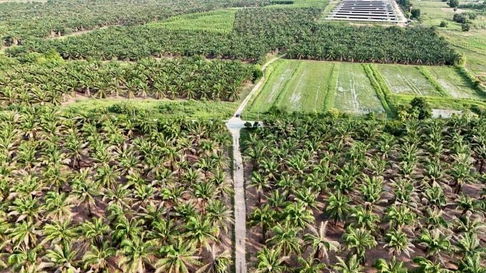 ขายที่ดินบ้านบึง คลองกิ่ว แปลงสวย ใกล้แหล่งนิคมอุตสาหกรรมมากมาย