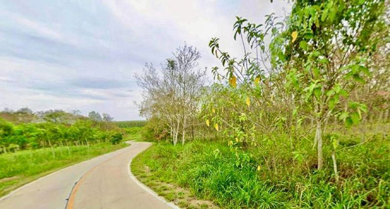 picture Beautiful land for sale, prime location, opposite Rojana Industrial Estate, Nong Yai, Chonburi - 3/5