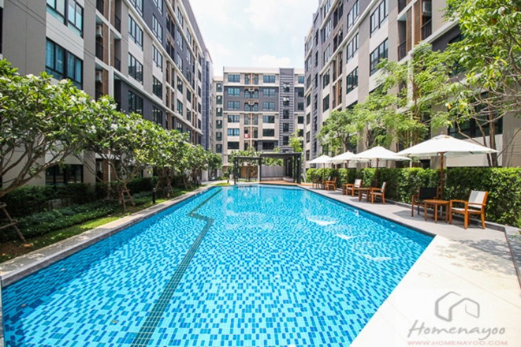 picture *For rent* Icondo salaya2 near the Mahidol University - 12/13
