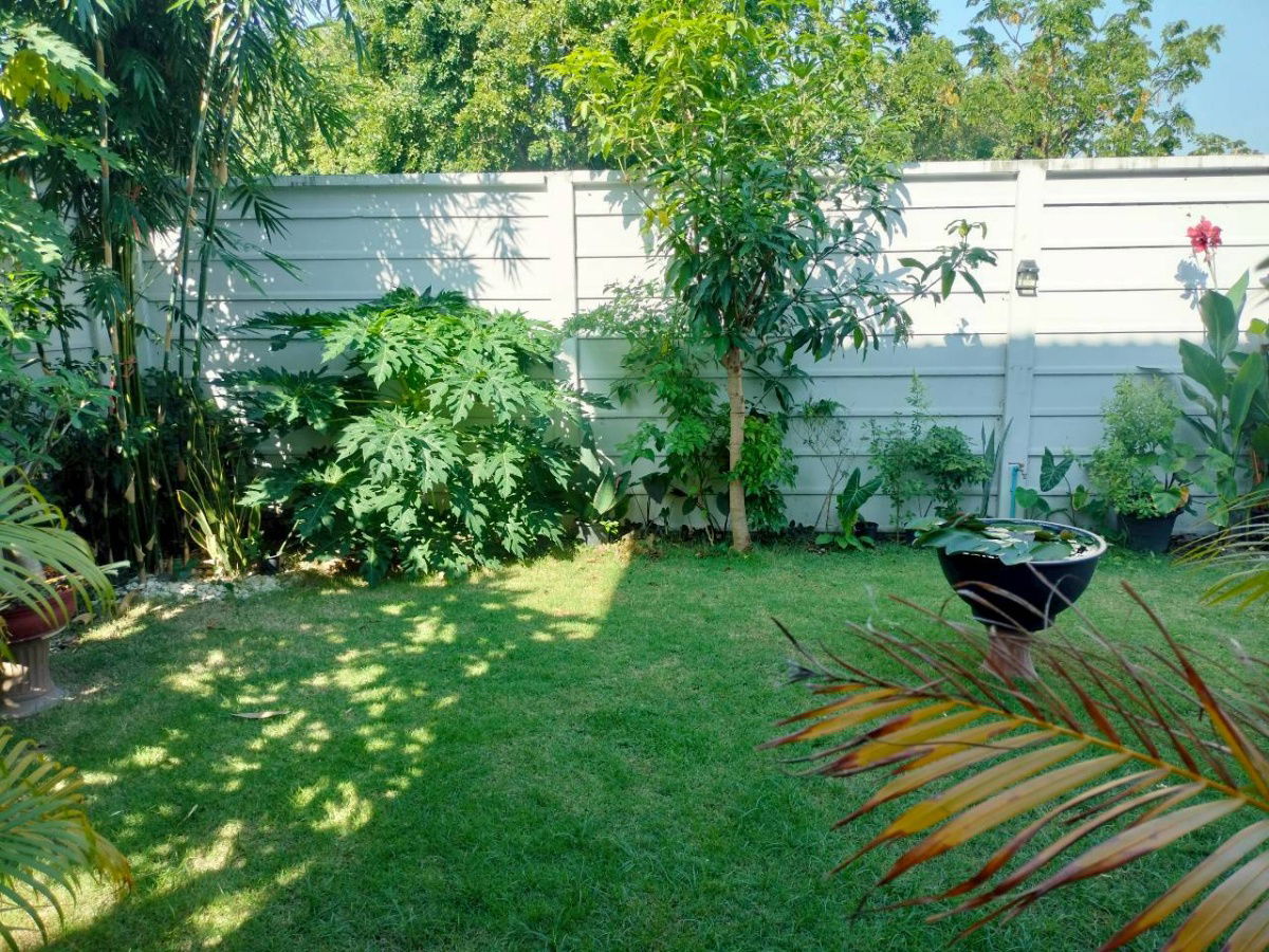 รูป 🚩ให้เช่า 🏡บ้านแฝด หลังริม 👉โมดิ วิลล่า บางนา ในบางเสาธง, สมุทรปราการ บ้านสวย พร้อมอยู่👈 - รูปที่ 25/25