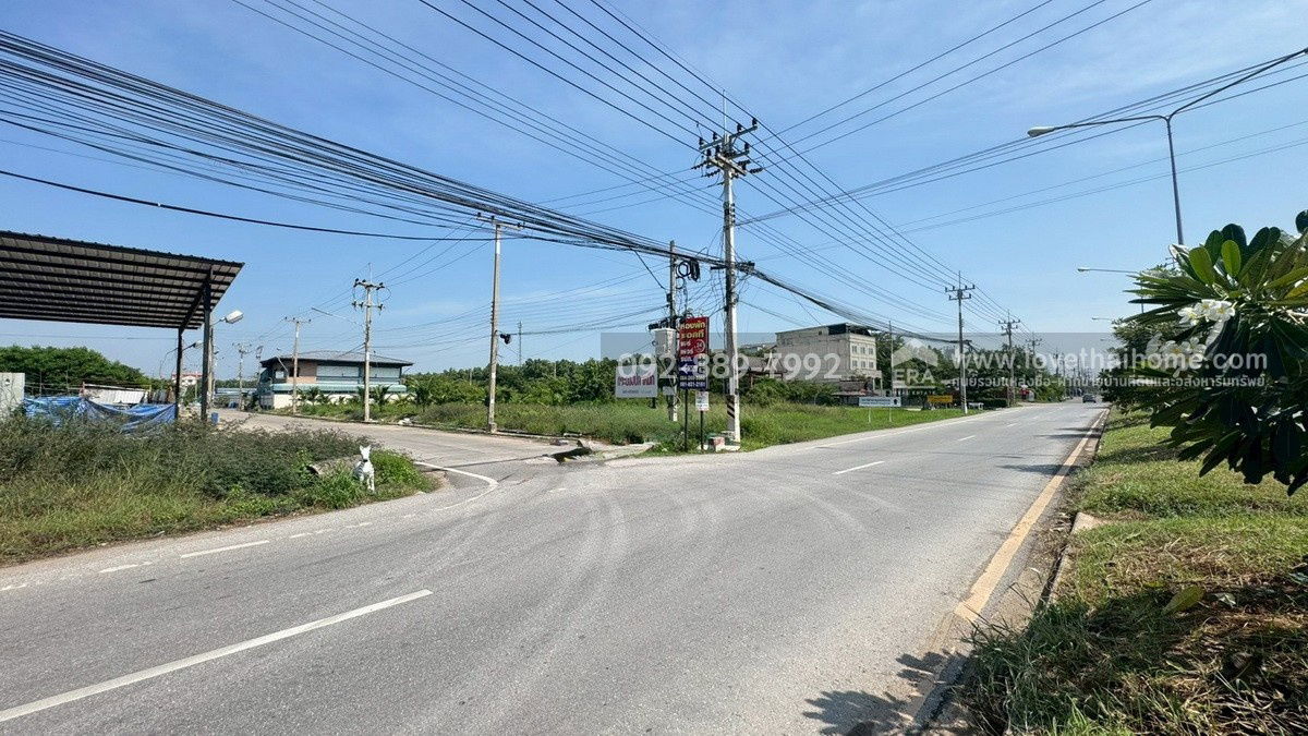 รูป ขายที่ดิน ถนนโคกขาม สมุทรสาคร แปลงสวย พื้นที่ 200 ตรว. ราคาถูก ใกล้อบต.โคกขาม เหมาะลงทุน - รูปที่ 9/10