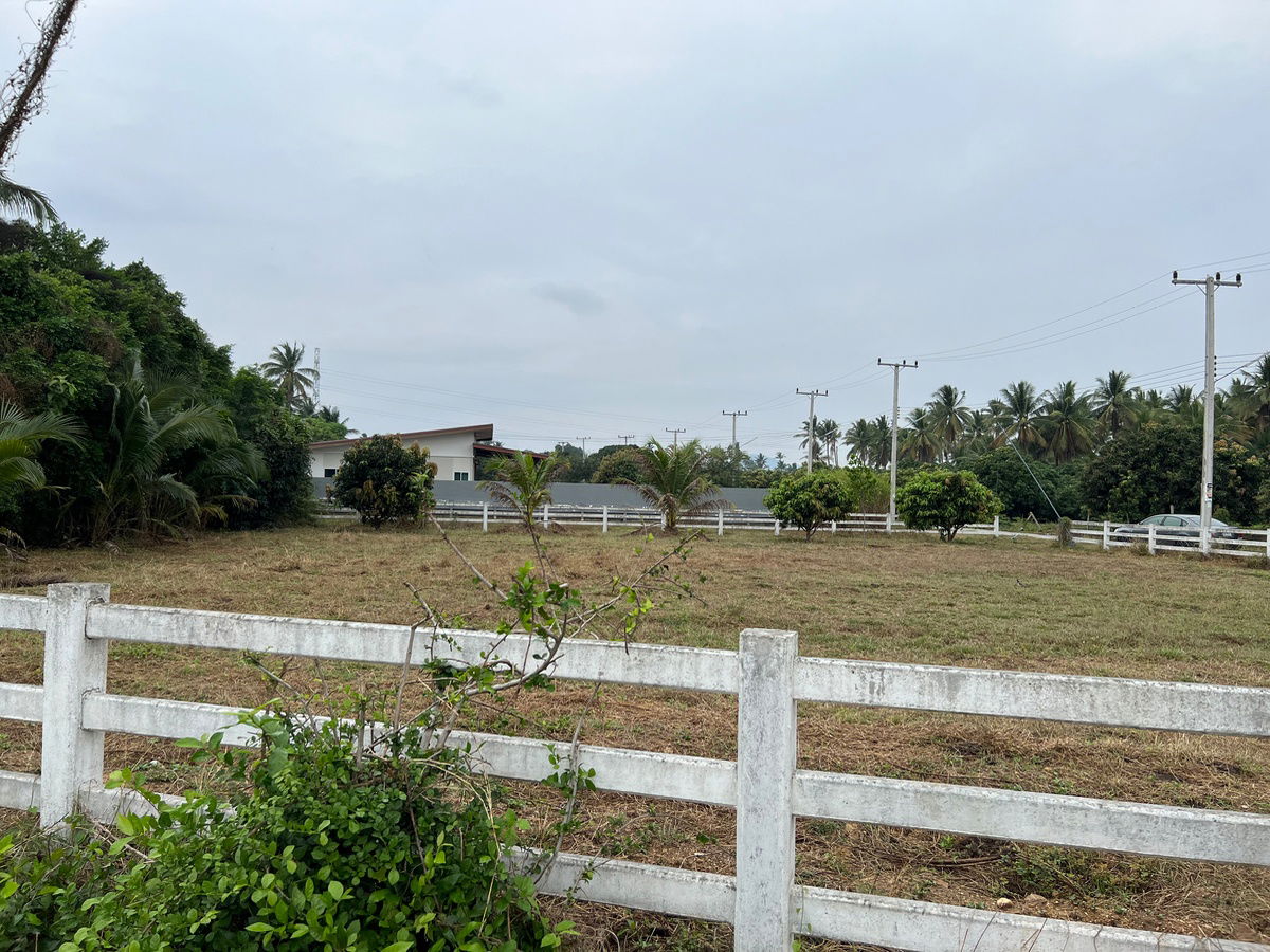 รูป "⚡️ แปลงหัวมุมหายาก! ที่ดิน 340 ตร.ว. ปราณบุรี/หนองตาแต้ม ติดถนนคอนกรีต 2 เส้น วิวภูเขา เห็นแล้วต้องรัก!" - รูปที่ 3/8