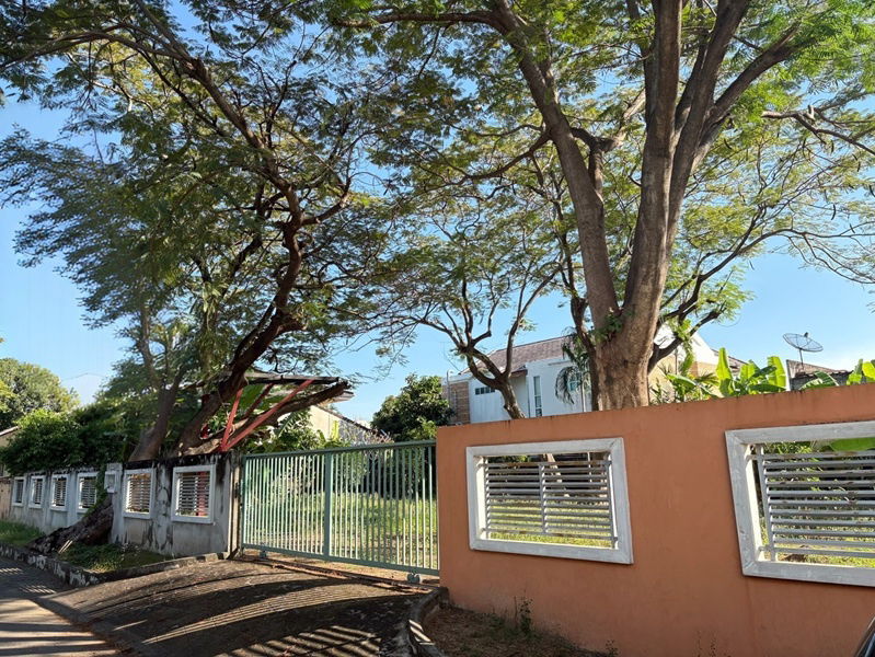 รูป ขายที่ดินแปลงสวย =ซอยแจ้งวัฒนะ 14= เหมาะทำที่พักอาศัย - รูปที่ 2/6