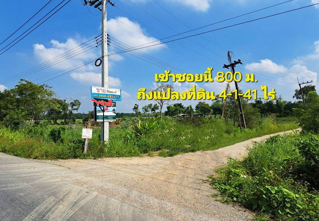 รูป ขายที่ดิน คลอง 13 ฝั่งตะวันตก ถนนรังสิต-นครนายก หนองเสือ ปทุมธานี - รูปที่ 4/5