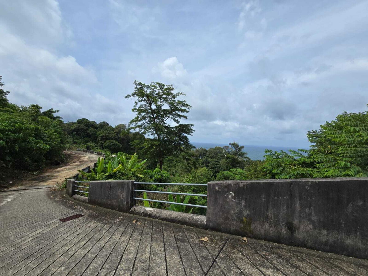 รูป ที่ดินวิวทะเล 2 ไร่ กะหลิม–กมลา เหมาะสำหรับสร้างวิลล่าหรู - 5864469 - รูปที่ 5/6