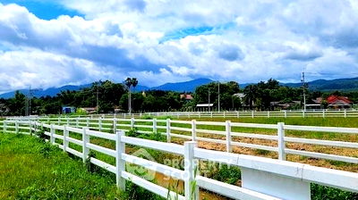 ที่ดิน แม่ริม เชียงใหม่ : ที่ดินสำหรับปล่อยขาย 1,132.8 ตารางเมตร แถว ใน ห้วยทราย (ID 1865466)