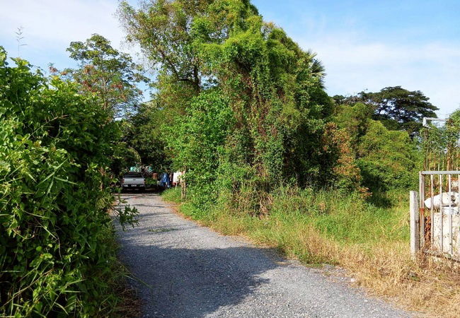 รูป ขายที่ดิน ซอยมิตรไมตรี 14 ถนนมิตรไมตรี แขวงคู้ฝั่งเหนือ เขตหนองจอก กรุงเทพมหานคร - รูปที่ 5/7