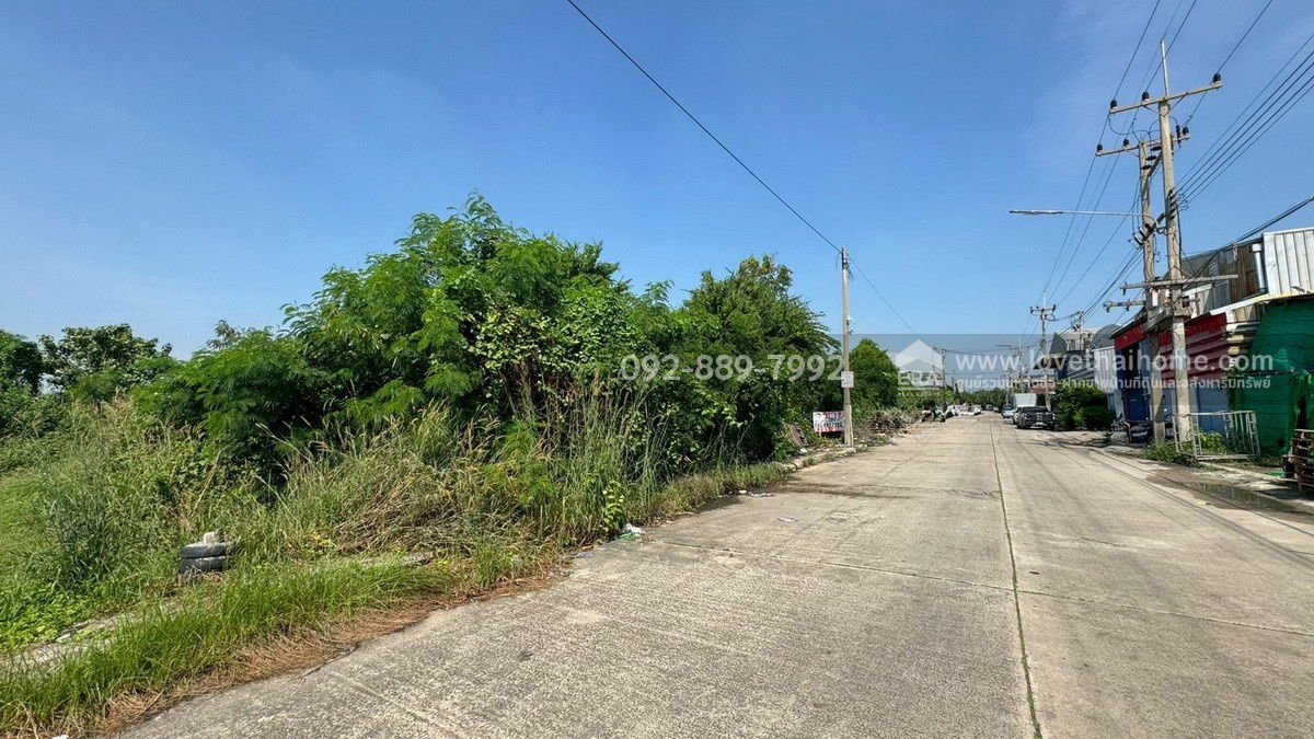 รูป ขายที่ดิน ถนนโคกขาม สมุทรสาคร แปลงสวย พื้นที่ 200 ตรว. ราคาถูก ใกล้อบต.โคกขาม เหมาะลงทุน - รูปที่ 2/10