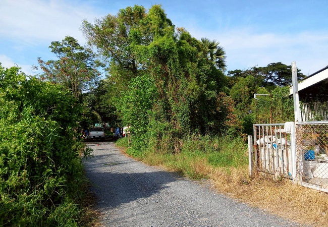 รูป ขายที่ดิน ซอยมิตรไมตรี 14 ถนนมิตรไมตรี แขวงคู้ฝั่งเหนือ เขตหนองจอก กรุงเทพมหานคร - รูปที่ 3/7