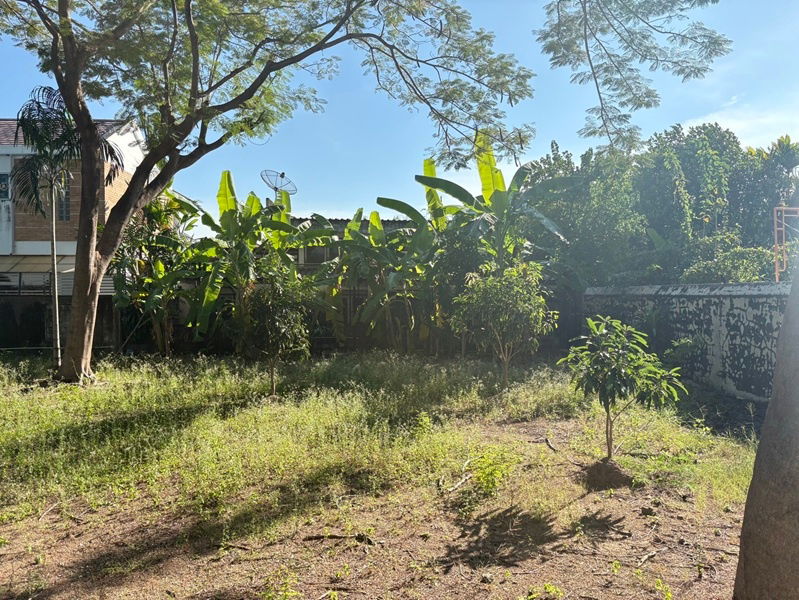 รูป ขายที่ดินแปลงสวย =ซอยแจ้งวัฒนะ 14= เหมาะทำที่พักอาศัย - รูปที่ 3/6