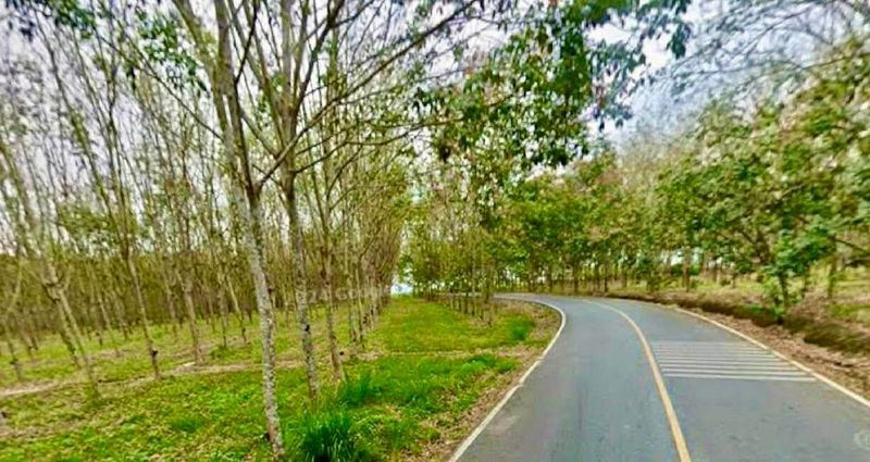 picture Beautiful land for sale, prime location, opposite Rojana Industrial Estate, Nong Yai, Chonburi - 4/5