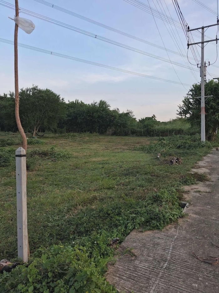 picture Sale! Hua Hin Land 2 Rai 3 Ngan (1,100 sq.wah) | Hin Lek Fai: Buy 1 Rai [Ready to Build] Get 1.75 Rai Expansion Area FREE! Owner Needs Urgent Sale - 3/10