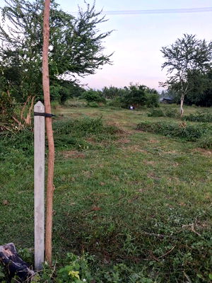 Land for sale Hua Hin Prachaubkirikhan : Sale! Hua Hin Land 2 Rai 3 Ngan (1,100 sq.wah) | Hin Lek Fai: Buy 1 Rai [Ready to Build] Get 1.75 Rai Expansion Area FREE! Owner Needs Urgent Sale