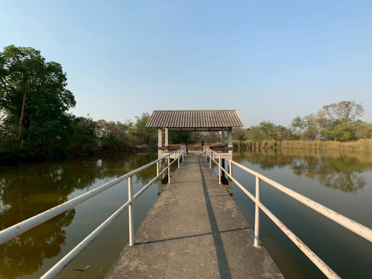 รูป ขายที่ดินพร้อมบ้านสวนหลังใหญ่สไตล์รีสอร์ท เนื้อที่ 3 ไร่ 3 งาน 51 ตร.วา ไก่เส่า หนองแซง สระบุรี - รูปที่ 4/8