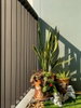 listing thumbnail image 11
