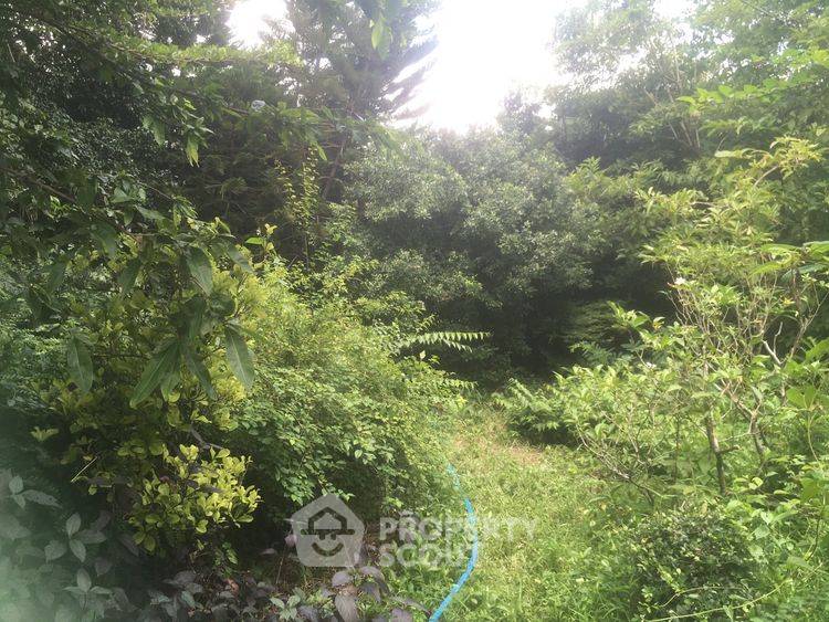 picture 1,322 m² Land for Sale in Bang Phrom (ID 2432996) - 2/3