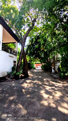 Houses for rent Phaya Thai : Single house for rent in the heart of the city, Ari, Phaya Thai area