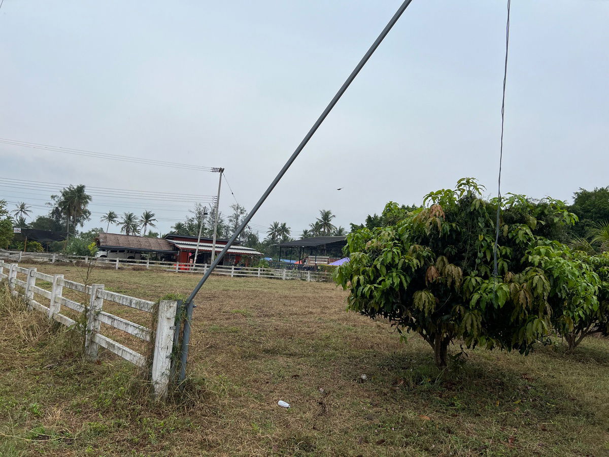 รูป "⚡️ แปลงหัวมุมหายาก! ที่ดิน 340 ตร.ว. ปราณบุรี/หนองตาแต้ม ติดถนนคอนกรีต 2 เส้น วิวภูเขา เห็นแล้วต้องรัก!" - รูปที่ 7/8