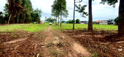 ที่ดิน นครสวรรค์ : ที่ดินติดแม่น้ำจังหวัดนครสวรรค์ 6 ไร่ ทำเลดี วิวสวย ราคาถูก