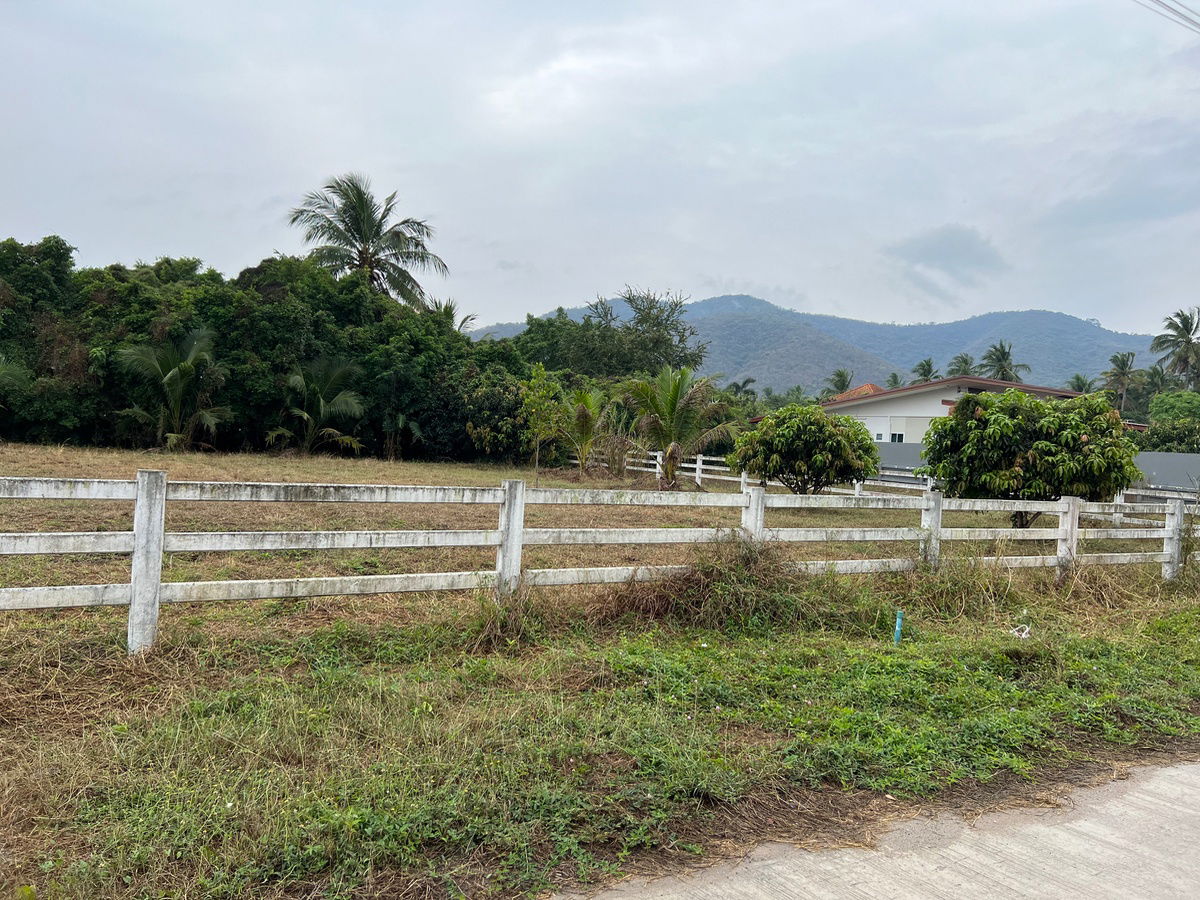 รูป "⚡️ แปลงหัวมุมหายาก! ที่ดิน 340 ตร.ว. ปราณบุรี/หนองตาแต้ม ติดถนนคอนกรีต 2 เส้น วิวภูเขา เห็นแล้วต้องรัก!" - รูปที่ 8/8